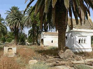RELIZANE 2009 le cimetiere  (19)